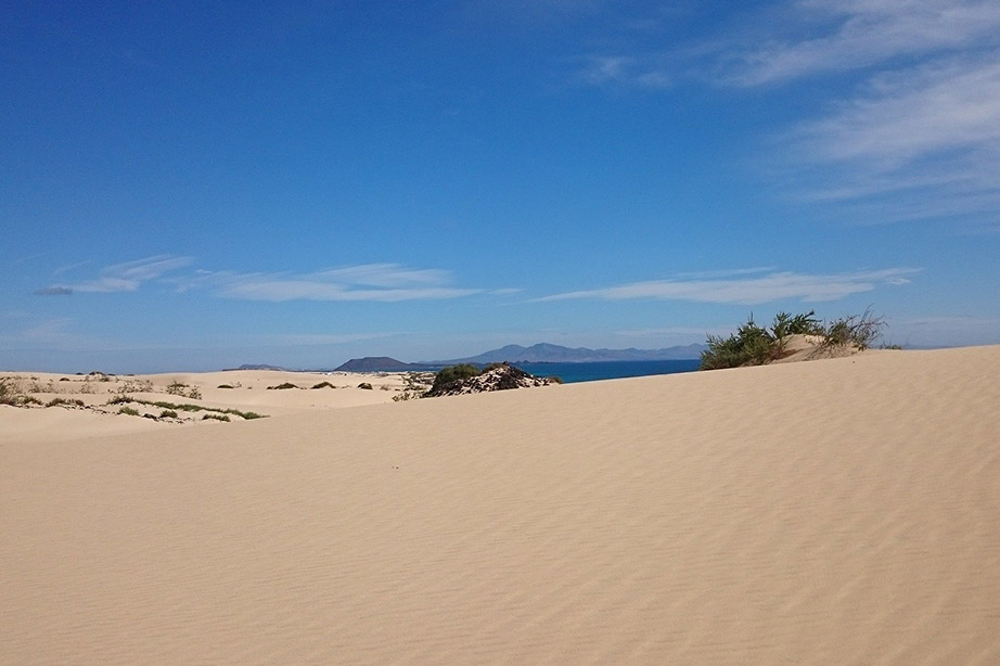 Blick auf den Strand von Fuerteventura